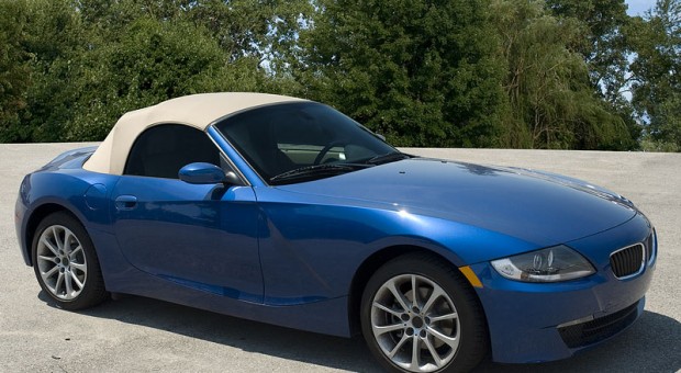 rimisIn Faucibus Orci